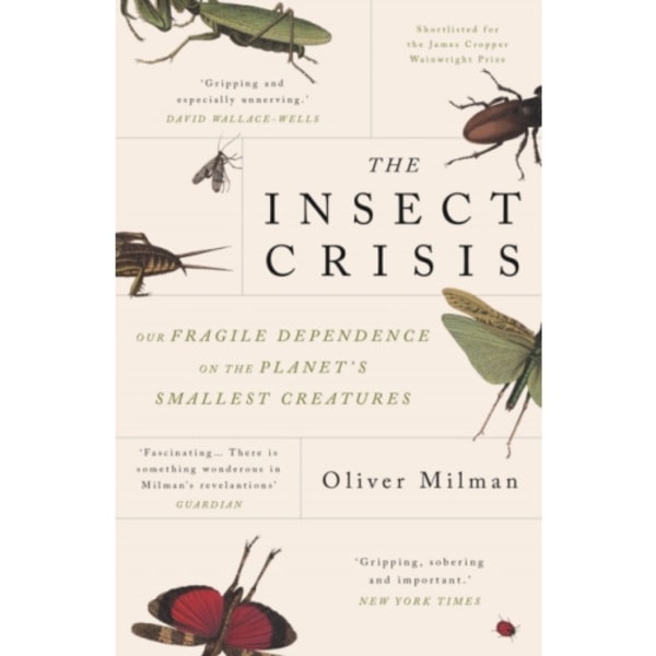 The Insect Crisis (häftad, eng)