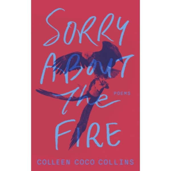 Sorry About the Fire (häftad, eng)