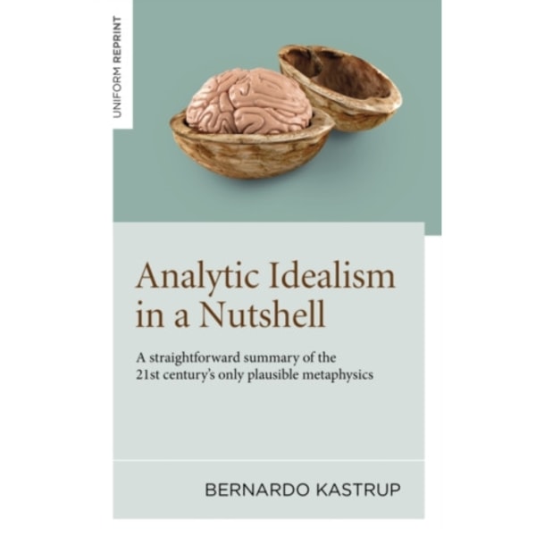 Analytic Idealism in a Nutshell (häftad, eng)