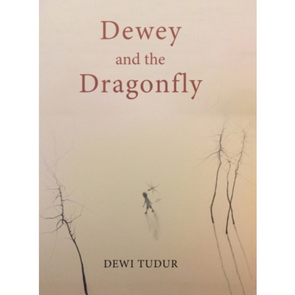 Dewey and the Dragonfly (inbunden, eng)