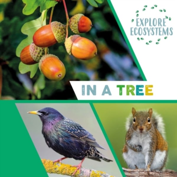 Explore Ecosystems: In a Tree (inbunden, eng)