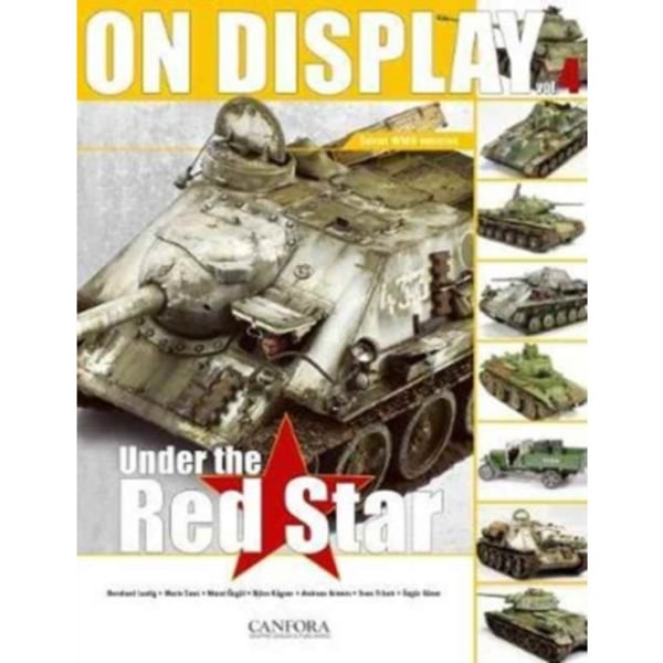 On Display (häftad, eng)