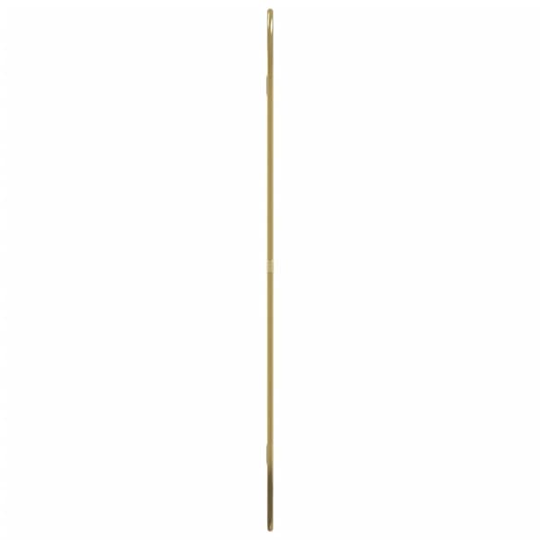 Väggspegel guld 70x45 cm