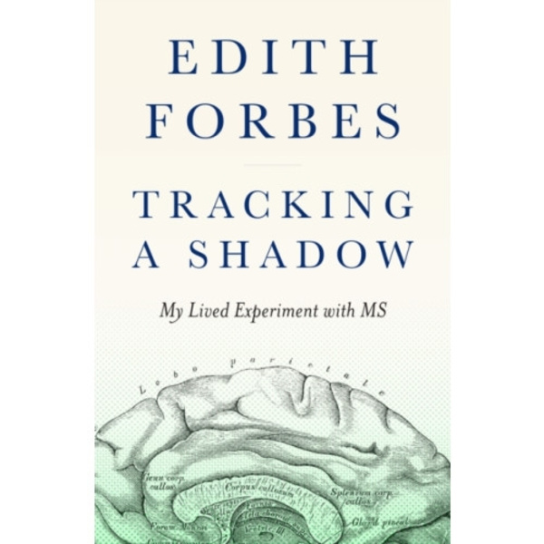 Tracking a Shadow (häftad, eng)