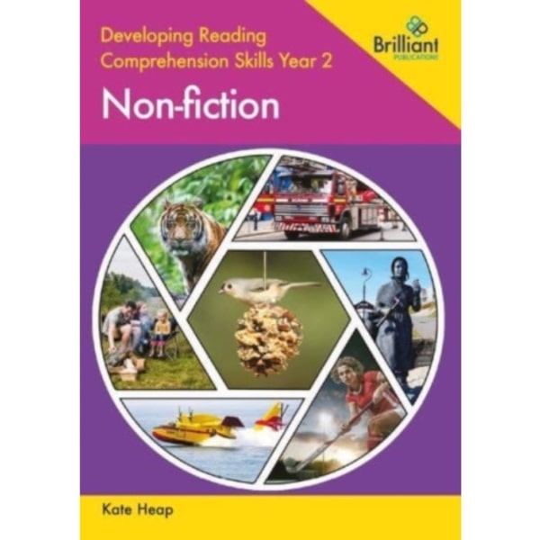 Developing Reading Comprehension Skills Year 2: Non-fiction (häftad, eng)