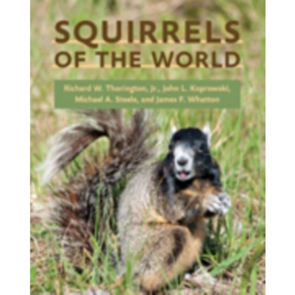 Squirrels of the World (inbunden, eng)
