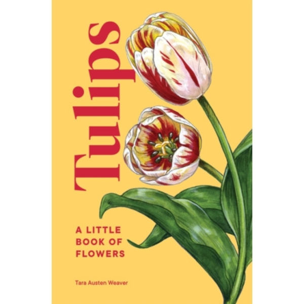 Tulips (inbunden, eng)