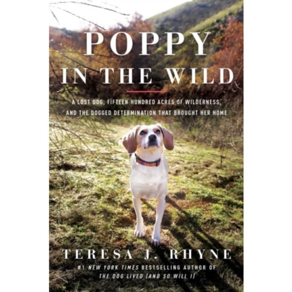 Poppy in the Wild (häftad, eng)