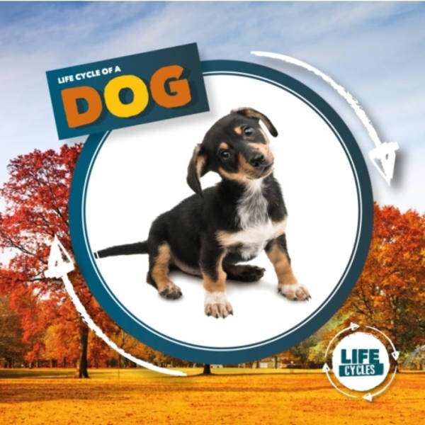 Life Cycle of a Dog (inbunden, eng)