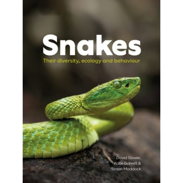 Snakes (häftad, eng)