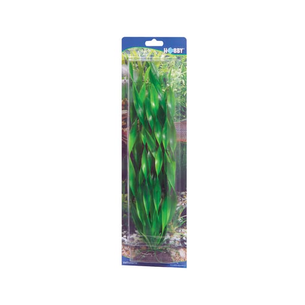 Dekorväxt Vallisneria 46cm Grön