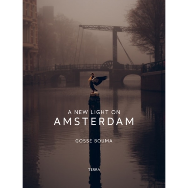 A New Light on Amsterdam (inbunden, eng)
