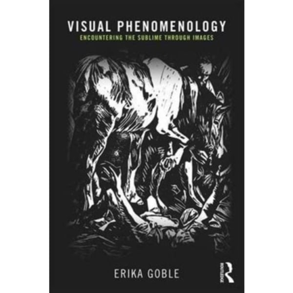Visual Phenomenology (häftad, eng)
