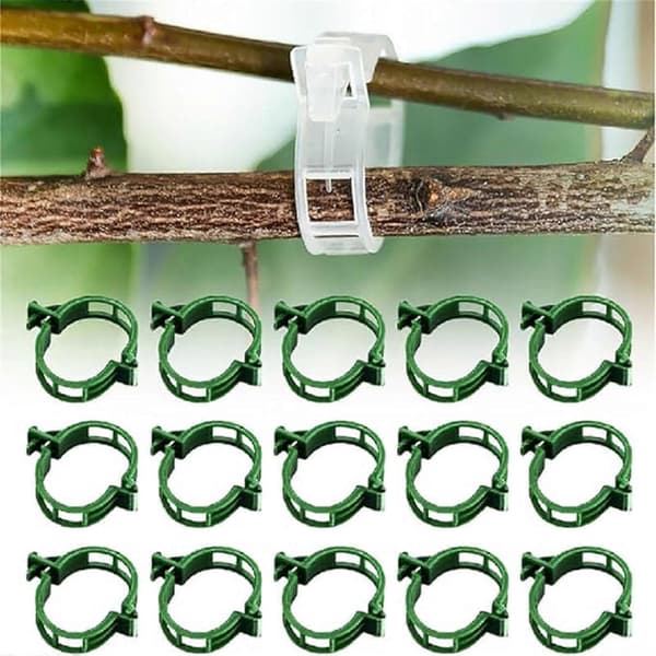400 stk. Plantefesteclips i plast, bindeklips, podeclips, festeanordning [D] Green