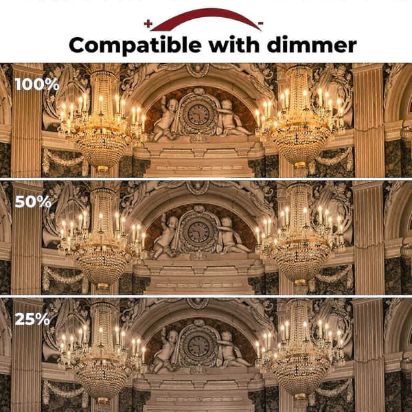 42w E14 C35 Dimbar Halogenpære Ac 220-240v Varmhvit 2700k E14 Transparent Halogen Lyspære (10 stk)[D]