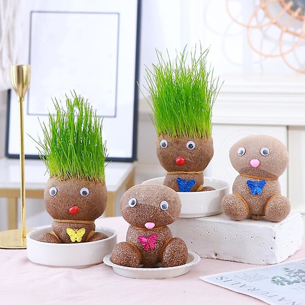 Small Growing Grass Head Doll Plant Small Growing Grass Head Doll Plant Gift