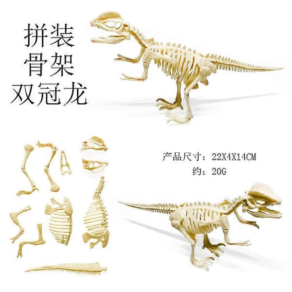 Skelet legetøj arkæologisk udgravning samlet[D] Dilophosaurus