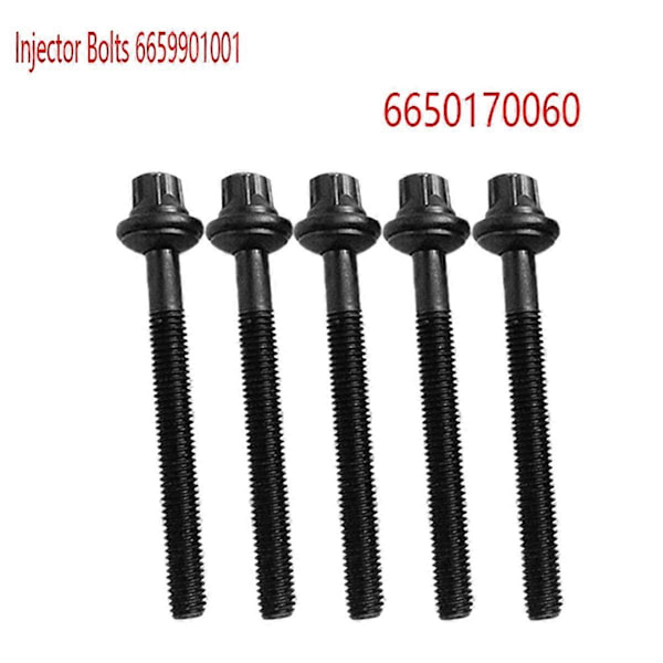 5 stk. Injektorbolter 6659901001 for Actyon Korando C 6650170060 Injektorskrue Black