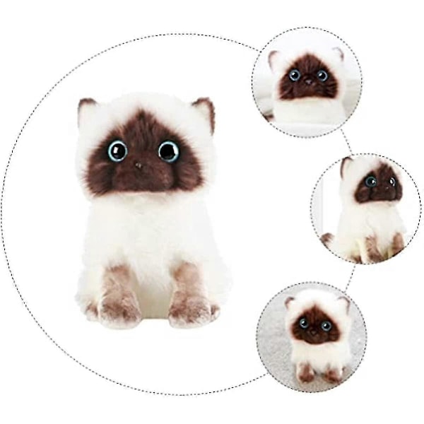 Ragdoll Katt Plyschdocka - 20cm Fylld Djur Katt Plyschleksaker Heminredning Ornament För Barn Flickor Pojkar Presenter