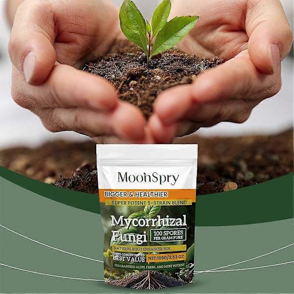 Mykorrhizasopp Organisk Rotforsterker - 100g