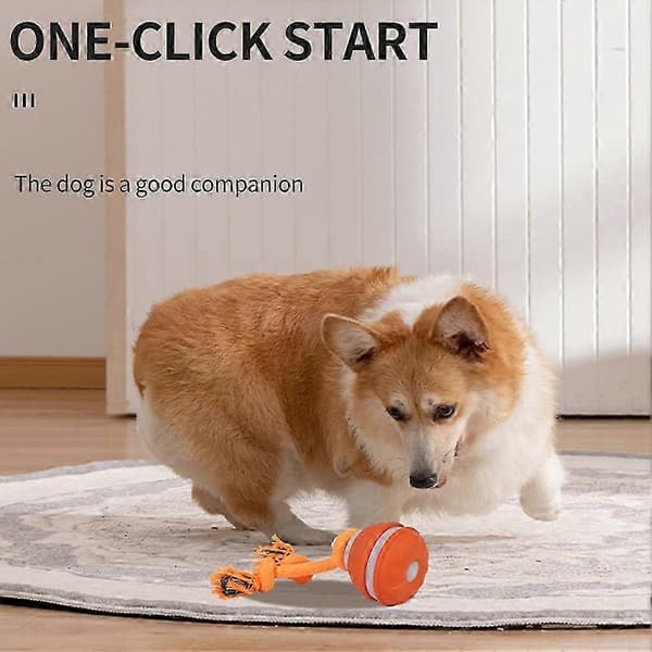 Smarte interaktive drillebolde til hunde, kedsomhedsresistente hundebolde, interaktivt kæledyrsudstyr [D] Orange Bird