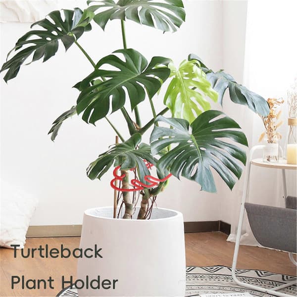 2-pack Monstera Växtstöd Vertikalt Växtstöd för Inomhus- och Utomhusväxter Skötsel Växttillbehör Grön[D] Black
