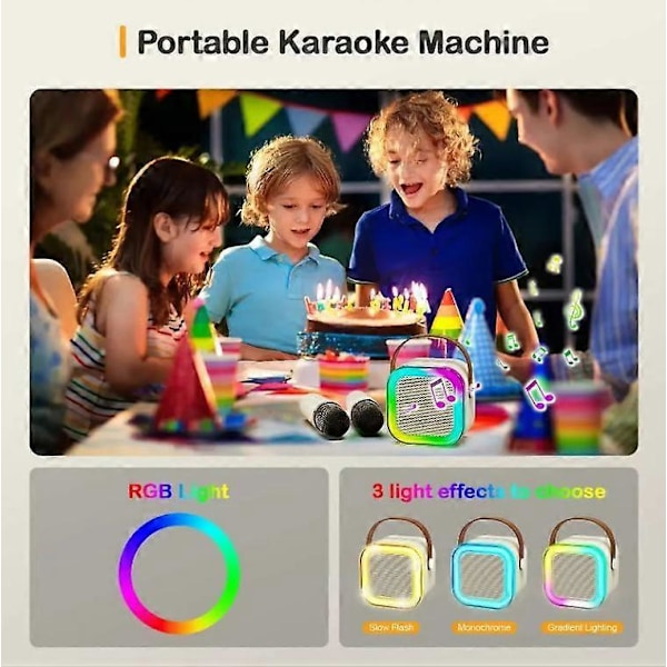 Portabel K12 Bluetooth Karaokehögtalare med 2 Trådlösa Mikrofoner Pink