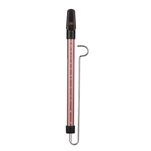 Metallisk Slide Whistle Skala Glidende Fløyte med Stål Glidende Stang Musikk Instrument Leke for Barn K