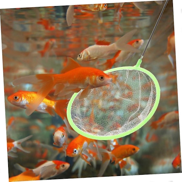 Akvarietillbehör Fisknät Tyg Teleskopiskt Fisknät Legering Fisknät för Fiske Färgglatt[D]
