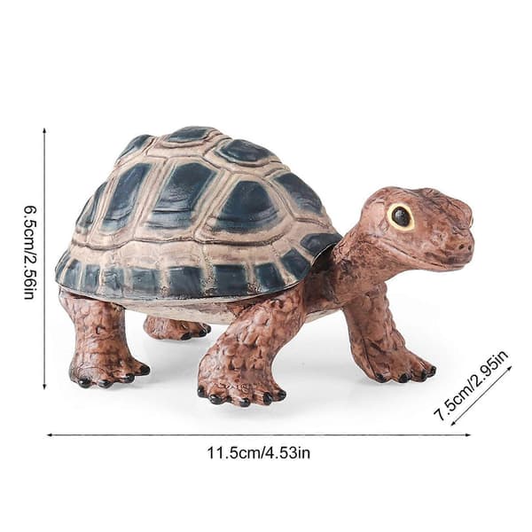 Detaljeret skildpaddefigur, perfekt til uddannelsesmæssige display-widgets, miniature-uddannelseslegetøjsfigur [D] Multicolor