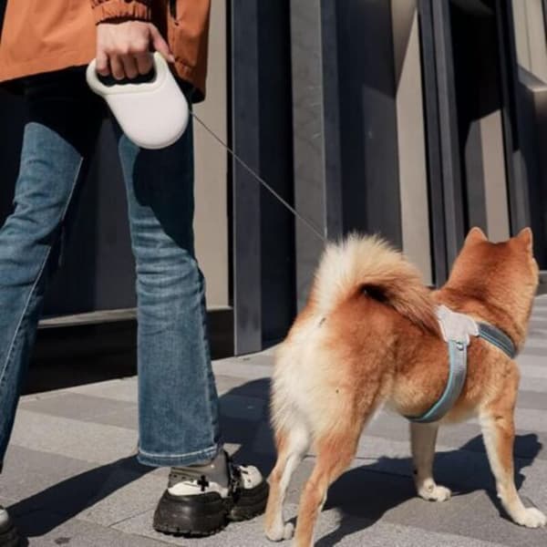 Infällbart hundkoppel, infällbart hundkoppel, justerbart hundkoppel, bitsäkert infällbart hundkoppel, 360° trasselfritt hundkoppel (med reflex) (D)