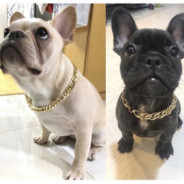 Halskjede til kjæledyr Mote Hundetilbehør Ingen misfarging ved elektroplettering Kattehalsbånd Bago Fadou Smykkehalskjede til kjæledyr Hundekjede[D] 1pc silver2612