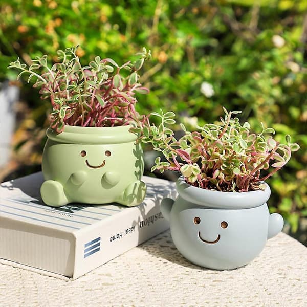 Smiley Face urtepotte til sukkulenter kaktus mini bonsai planter, kreative havepotter dekorative (D) 1