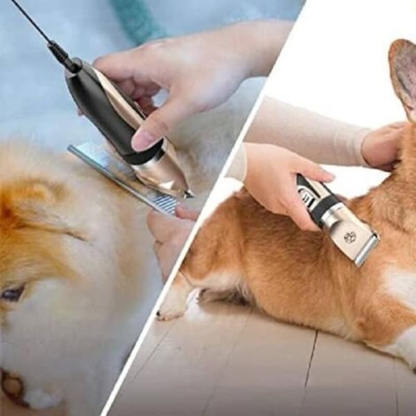 Hunde- og katteklippere, 4 utskiftbare kammer, 5 hastigheter, oppladbart batteri, stillegående drift (D)