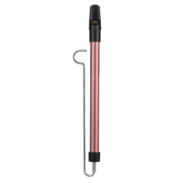 Metallisk Slide Whistle Skala Glidende Fløyte med Stål Glidende Stang Musikk Instrument Leke for Barn K