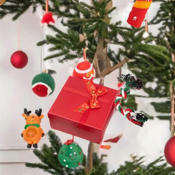 Jule Jule Kæledyrslegetøj Bidedyr Gaveæske Julehundlegetøj Julehundeforsyninger[D]