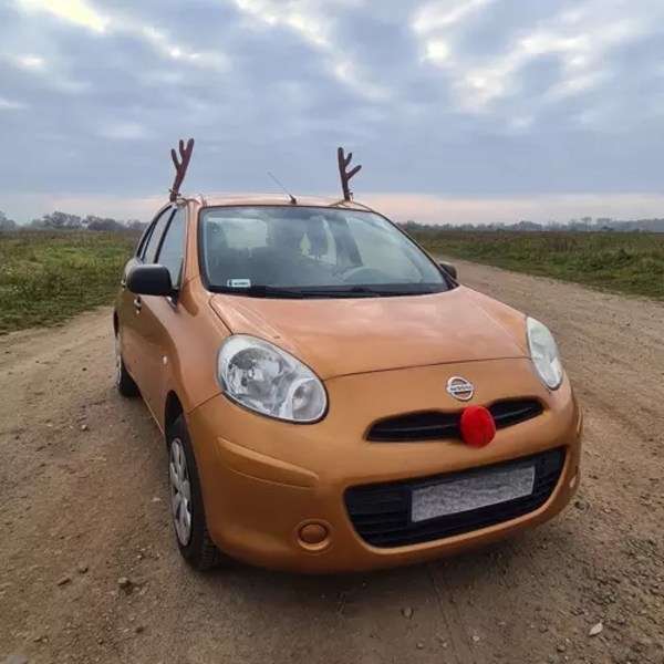 Rennäshorn till bilen - Rudolf