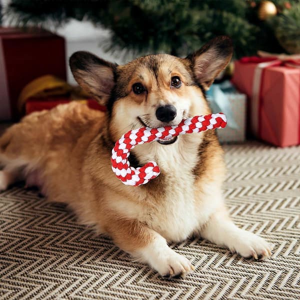 Tuggleksaker Hundar Hundleksak Rep Hundleksaker Jul Valp Tuggleksaker Jul Hundleksaker[D]