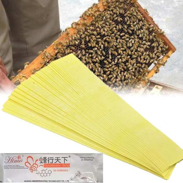 Bee Varroa Midd Killer Skadedyrkontrollbehandling Birkjøring Verktøy Hjemmehage