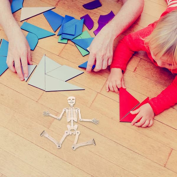 Benstomme Rammontering Pedagogisk Leksak Trä Skelettmodell för 1Set[D]