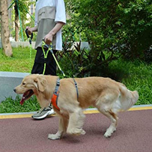 Dog Leash Traffic Padded Two Handles, Reflective Threads For Control Safety Training For Dogs