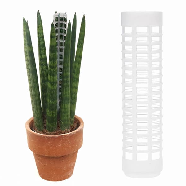 Plastmosspinne för växter Monstera, växtpinnar för klätterväxter, växtstöd för inomhusväxter fungerar med sphagnummossa A