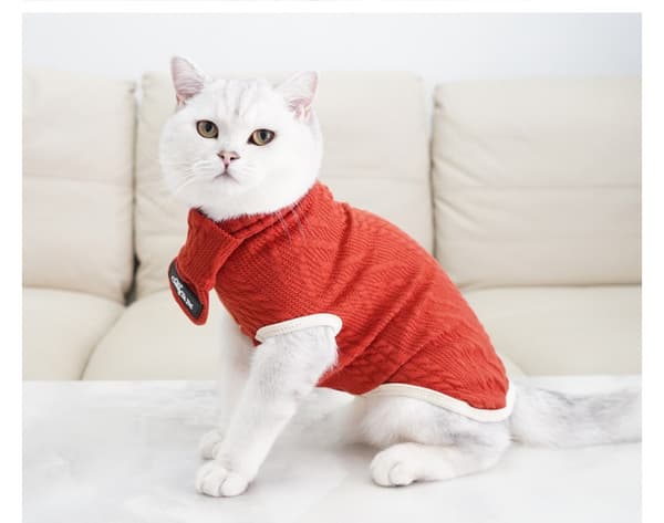 Vintervarm Anti-Hårlossning Turtleneck Hundtröja