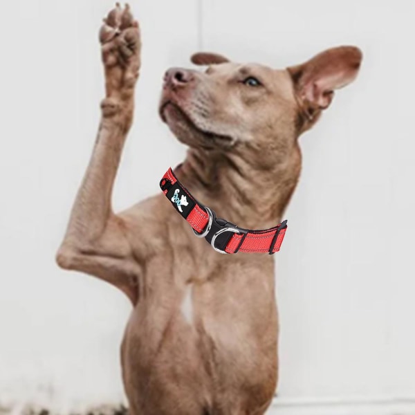 Hundehalsbånd, justerbart kjæledyrhalsbånd med ID-tagring, trygt og behagelig for små hunder