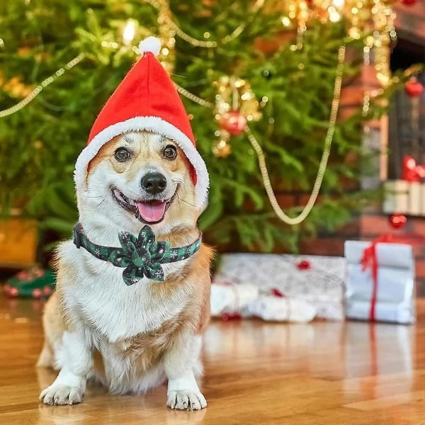 Koiran joulupanta, ihastuttava kaulapanta koiranpentuille, kissoille, lemmikeille