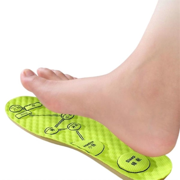 Akupressurmagnetiska Massageinlägg för Män/Kvinnor, Fotmassager Shoe-pad Fotterapi Reflexologi Smärtlindring Skoinlägg Läder Latex Inlägg green 43-44