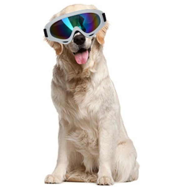 Mimigo Hunde Solbriller Hunde Briller, UV400 Beskyttelse Vindbeskyttelse Støvbeskyttelse Dugbeskyttelse Kæledyrsbriller Øjenbeskyttelse Med Justerbar St COLOR 1