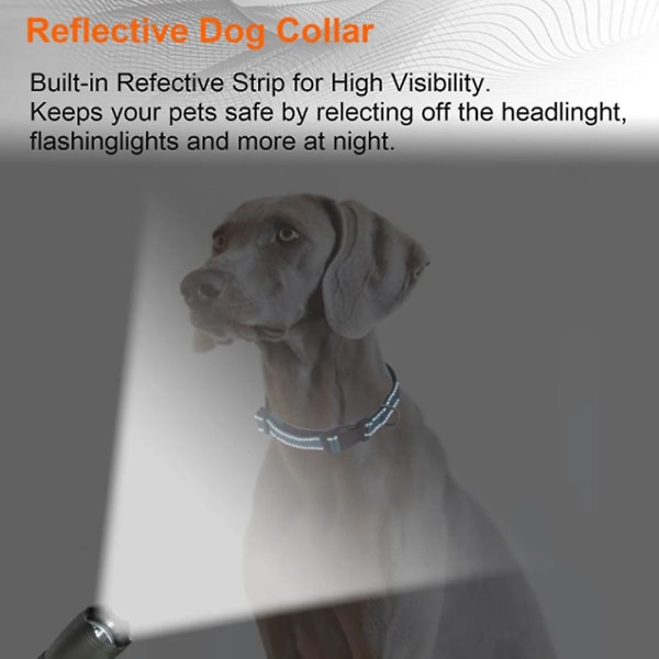 Hundehalsbånd, justerbart kjæledyrhalsbånd med ID-tagring, trygt og behagelig for små hunder