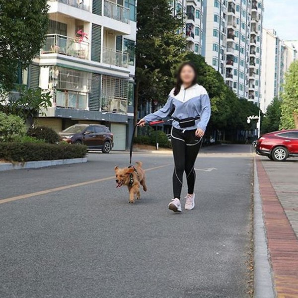 Hundebånd Trafikkpolstret To utskriftshåndtak, reflekterende bånd for kontrollsikkerhetstrening