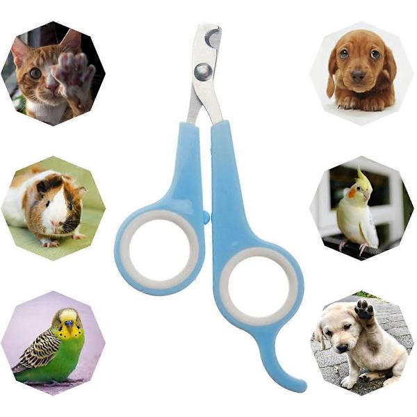 Klosaks for kjæledyr - Hund, katt, fugl, kanin, klodyr - Skarp rustfritt stål (blå)